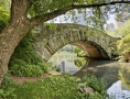 Central Park: Discover playgrounds, theater, carousel
