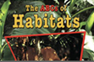 website image