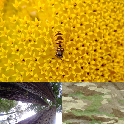 camouflage